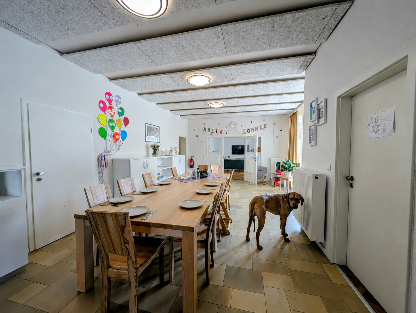 Heller Wohn- und Essbereich einer Wohngruppe mit gedecktem Tisch und braunem Hund.